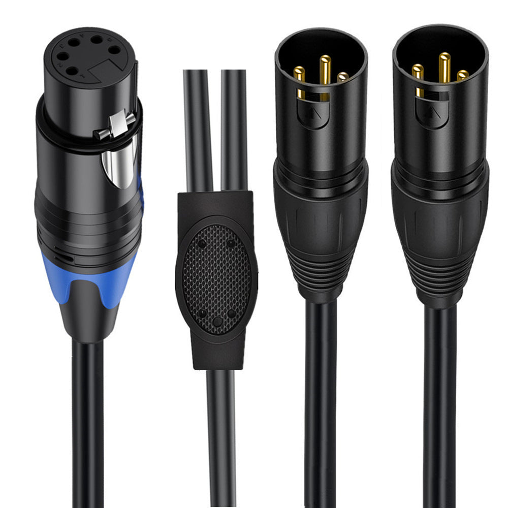 Close-up of 5 pin XLR female and dual 3 pin XLR male connectors with gold-plated pins