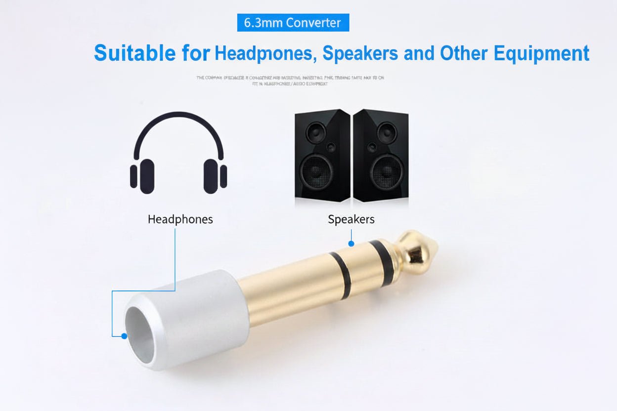 6.3mm audio adapter with icons of headphones and speakers on a white background
