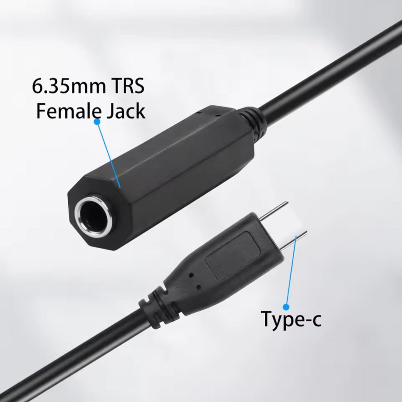 Converter cable with 6.35mm TRS female jack and Type-C connectors on a white background.