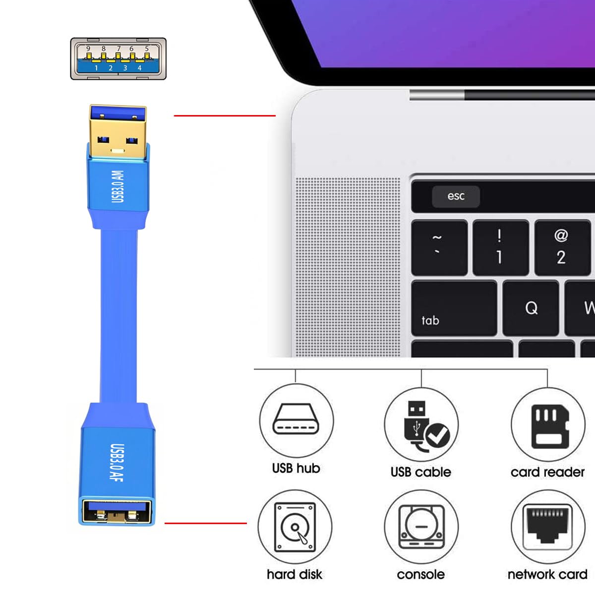 Blue USB extension cable with connectors on a white background