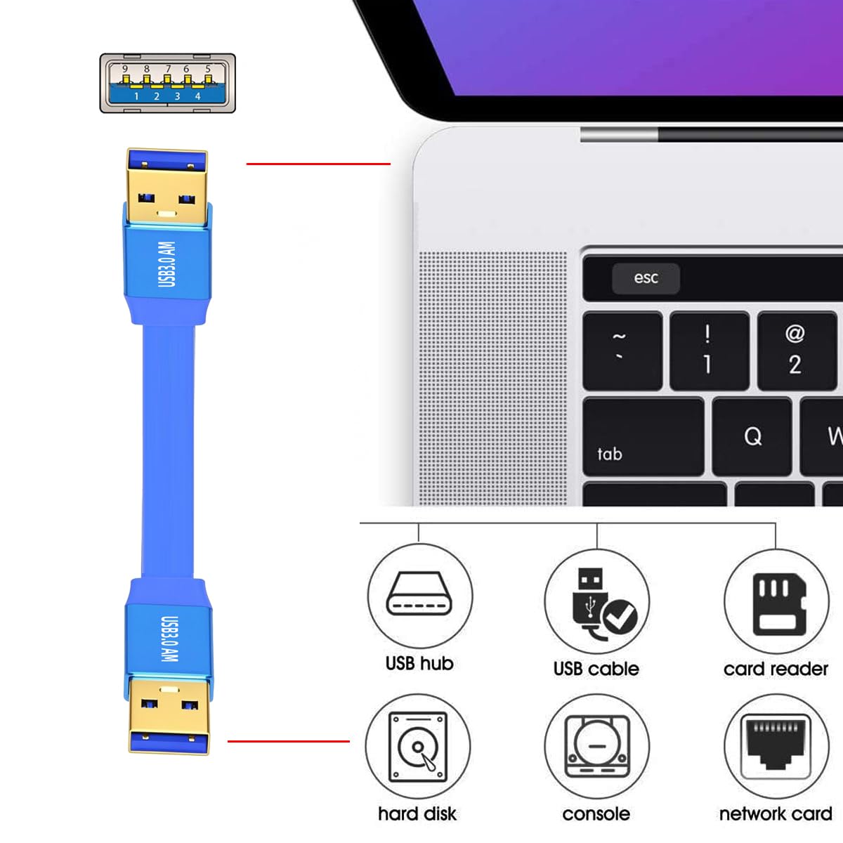 Blue USB cable with connectors and a laptop in the background
