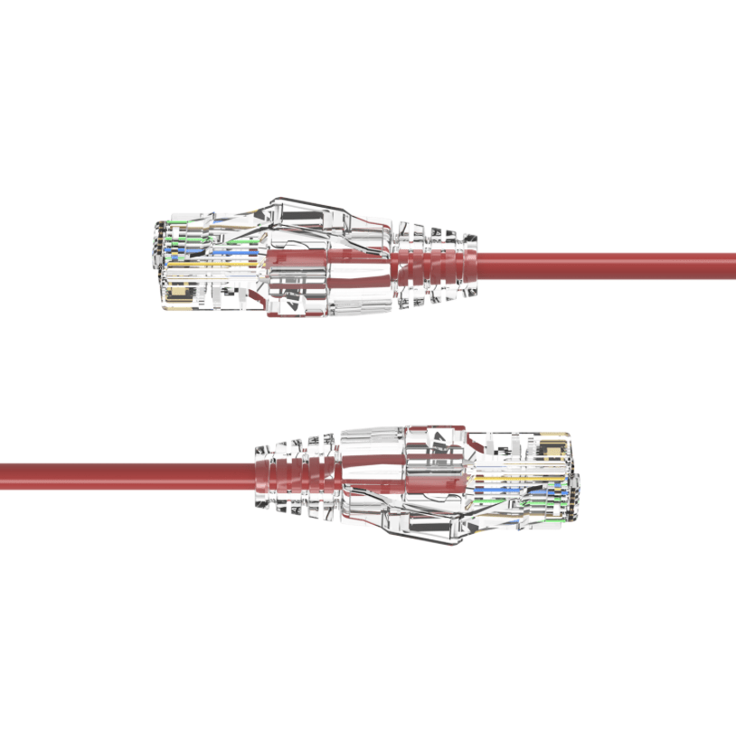 Two red Ethernet cables with clear connectors on a white background