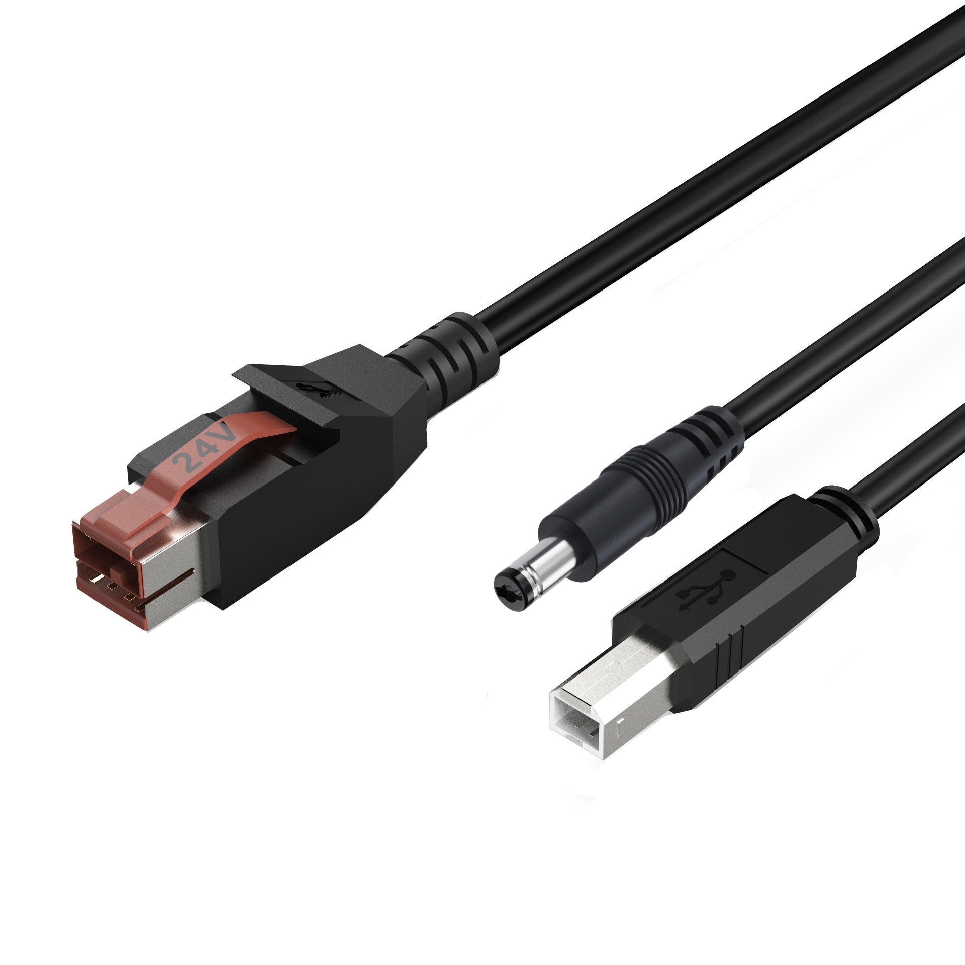 Computer cable with various connectors on a white background