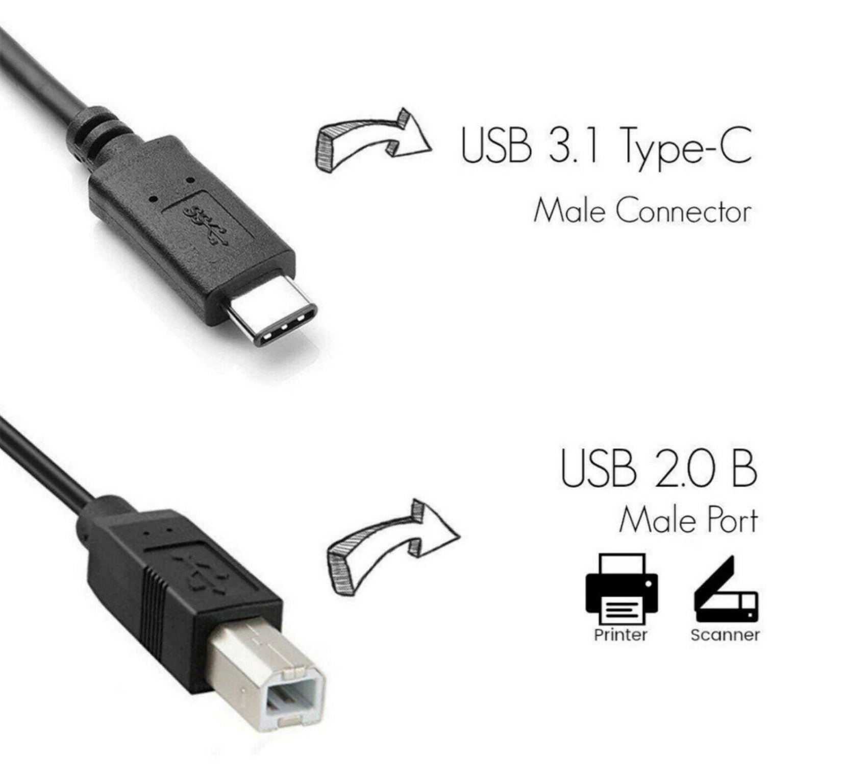 USB 3.1 Type C Male to USB 2.0 B Type Male Printer Scanner Cable