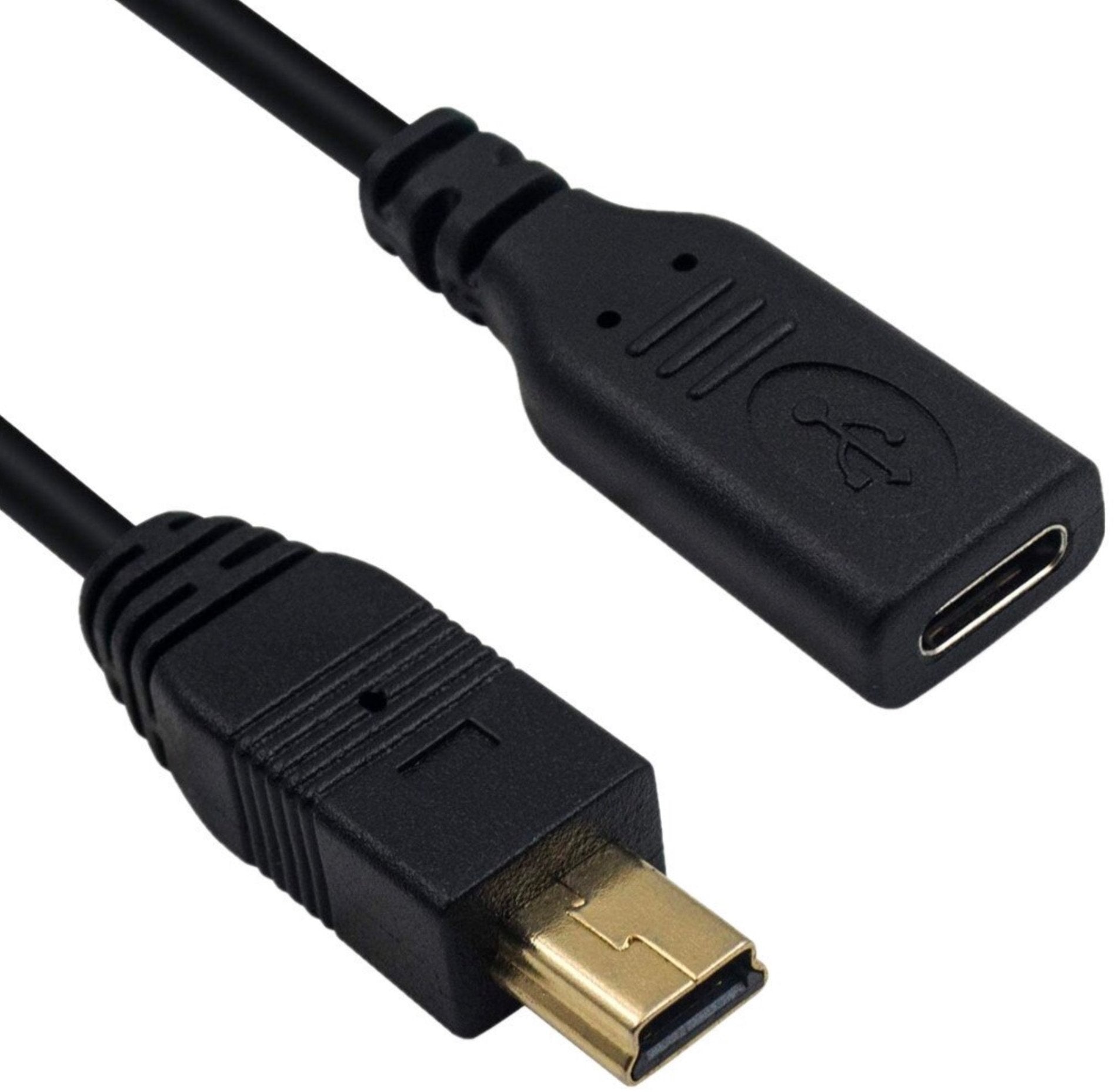 Mini USB 5-pin male connector close-up