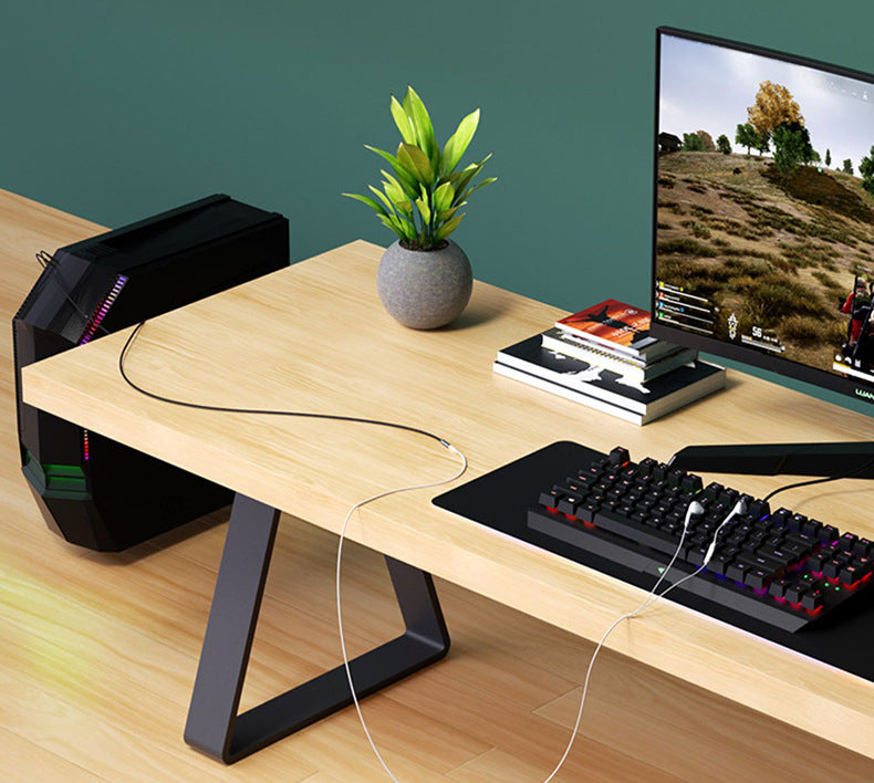 Wooden desk with gaming setup including a computer monitor, keyboard, and plant.