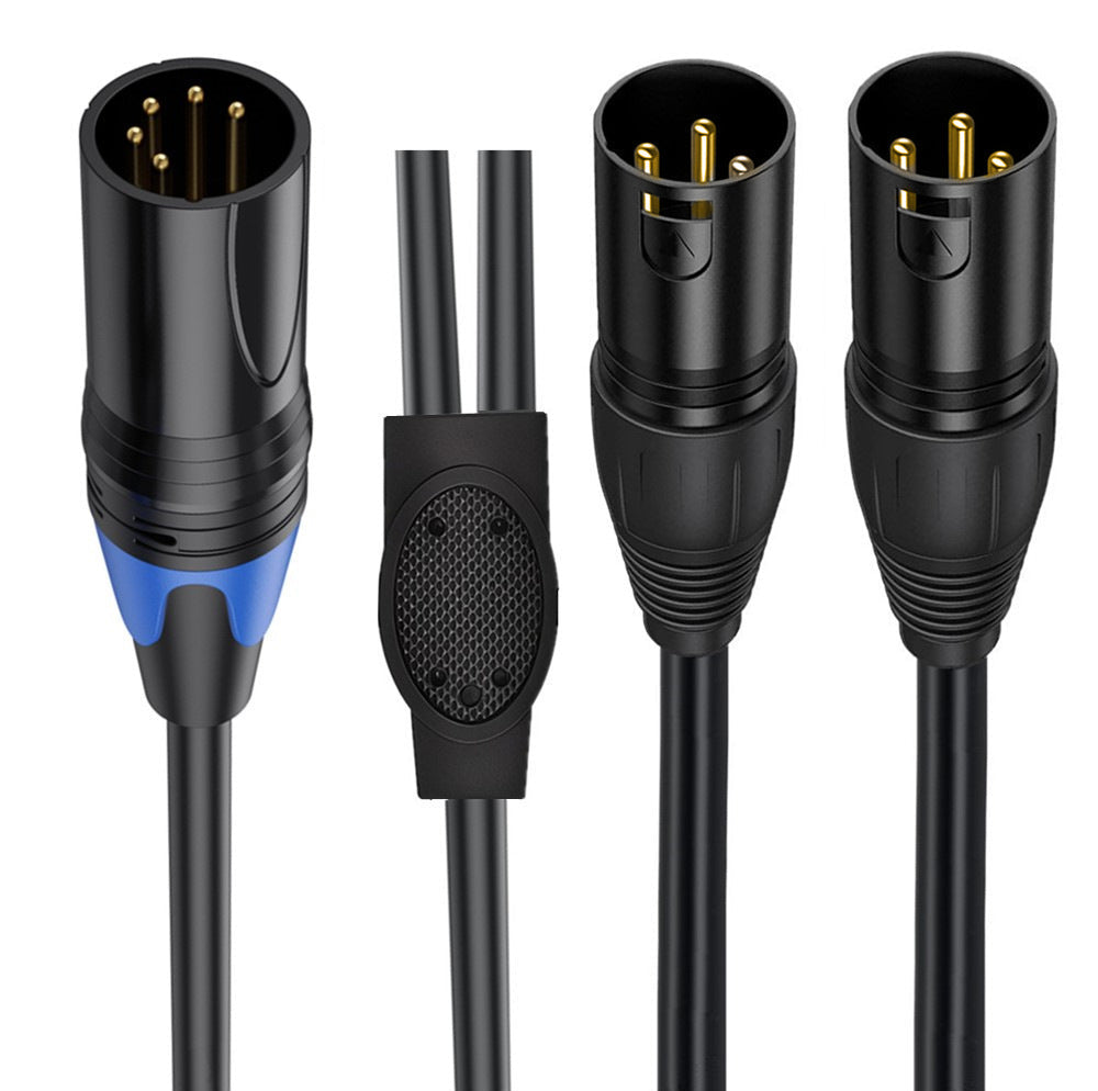 Close-up of 5 pin XLR male and dual 3 pin XLR male connectors with gold-plated pins