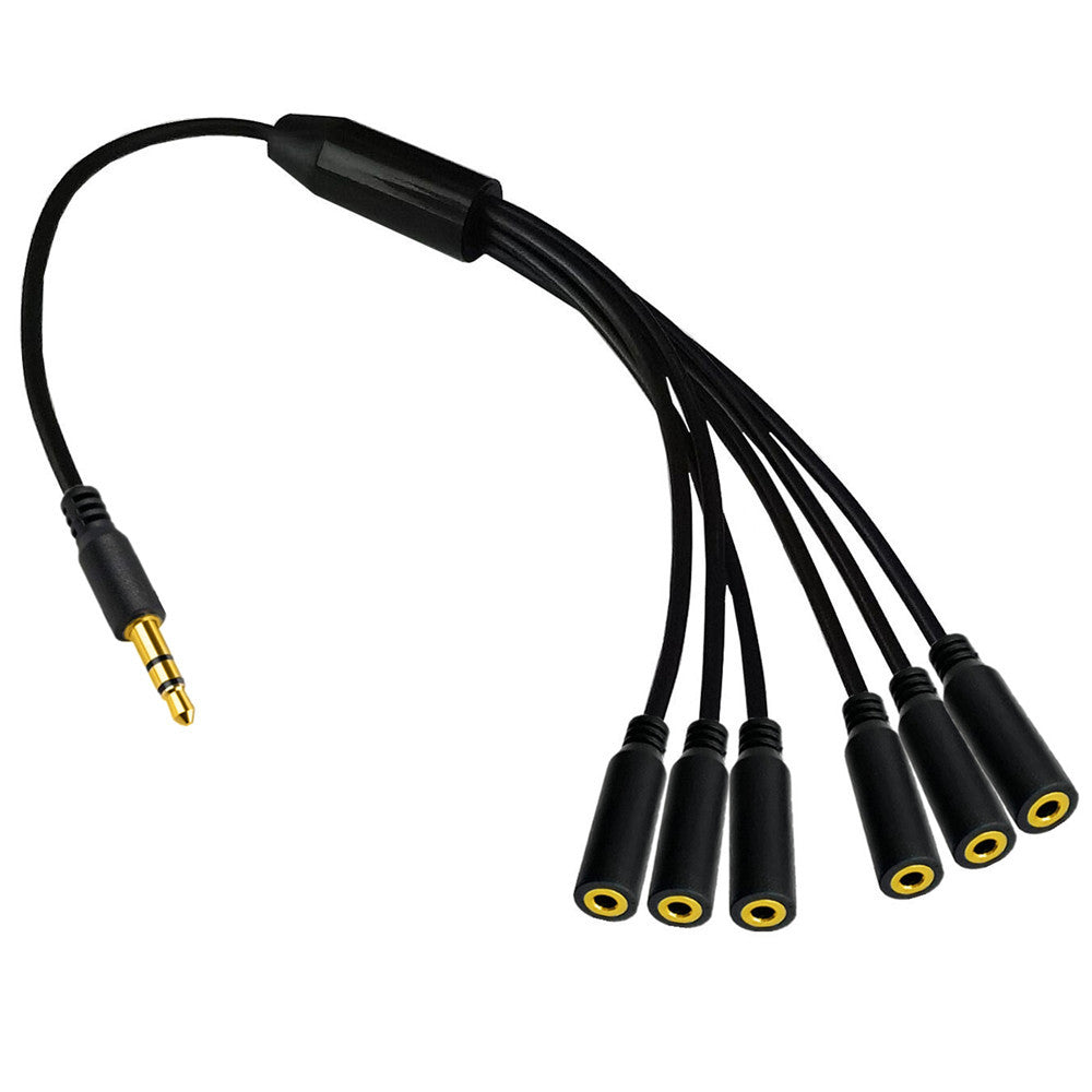 Overview of the six-way 3.5mm stereo headphone splitter cable
