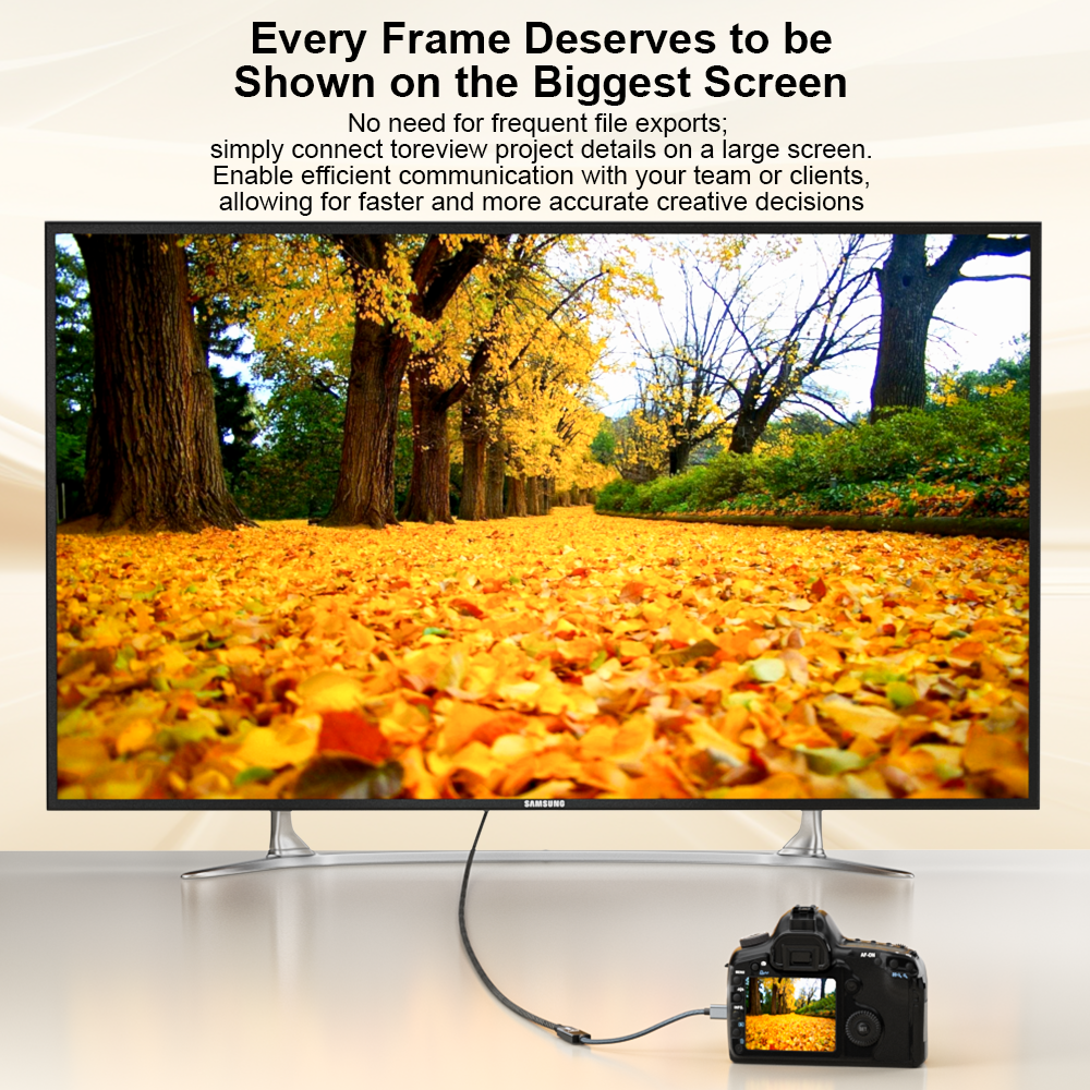 Monitor displaying a scenic view of trees with yellow leaves, connected to a camera.