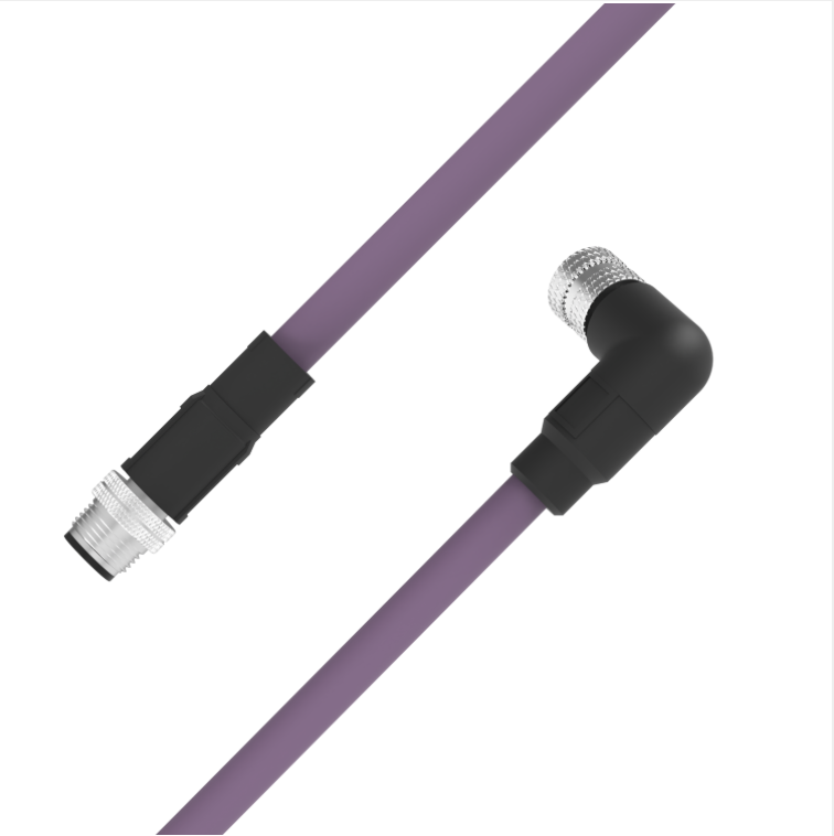 Purple garden hose with black connectors on a white background