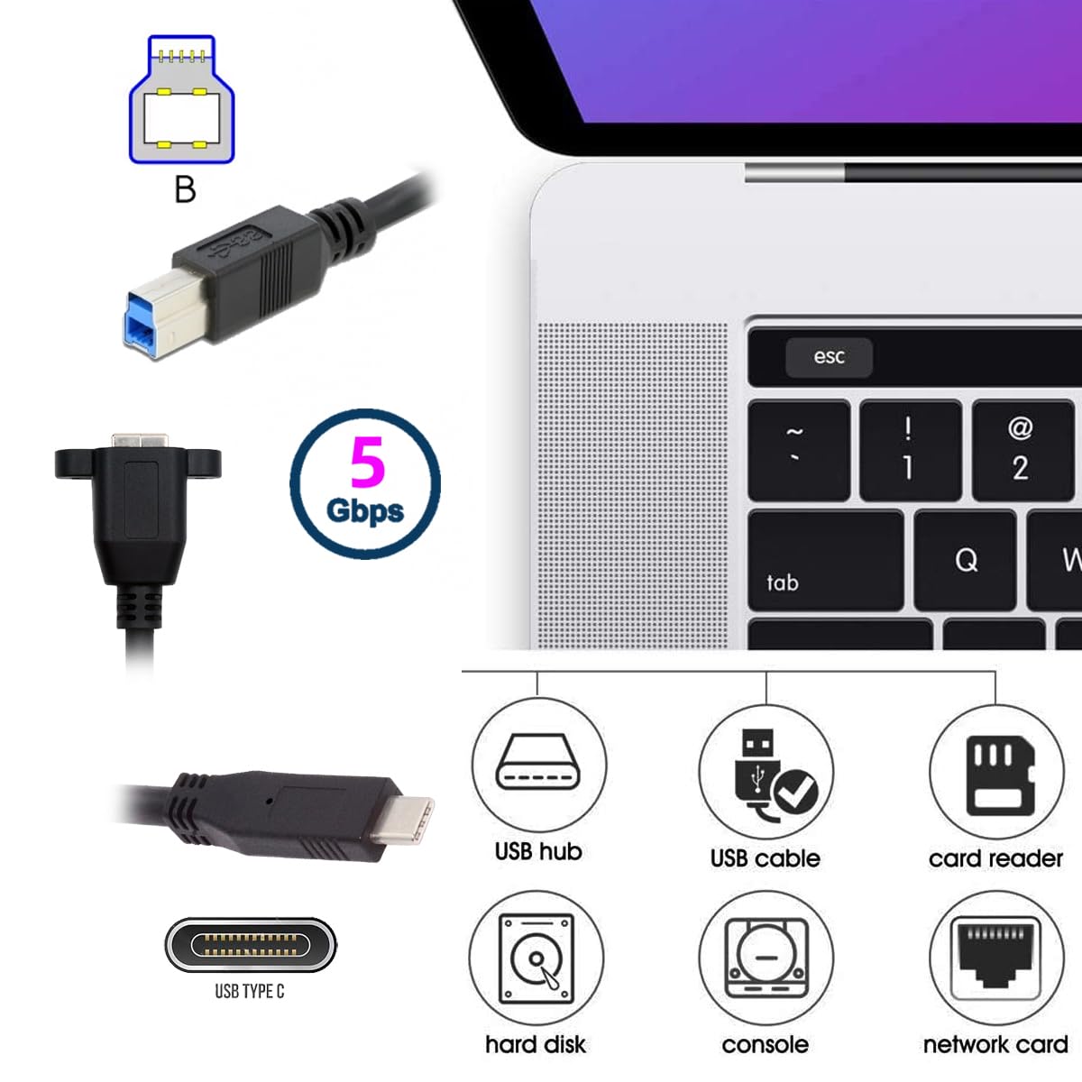 USB 3.0 Type-B Female to USB-C Male Extension Cable | 5Gbps High-Speed Data Transfer for SSD, Hard Drives, Cameras