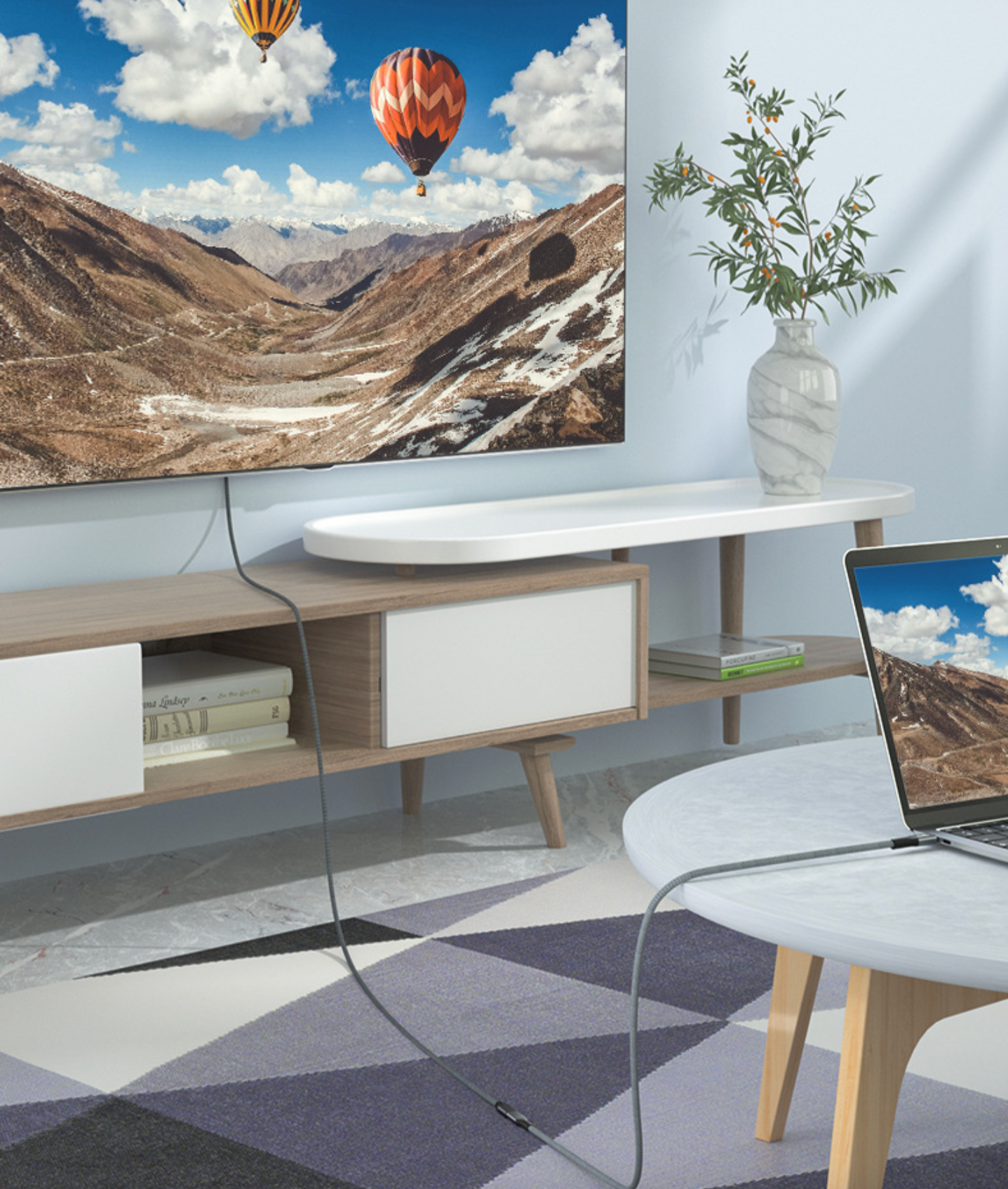 Living room with a TV displaying a mountain scene, a laptop on a table, and a vase with plants.