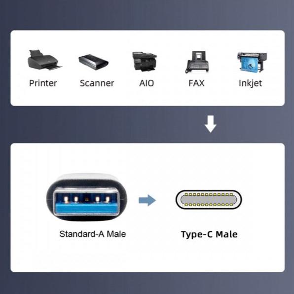 Coiled USB-C male connection lead