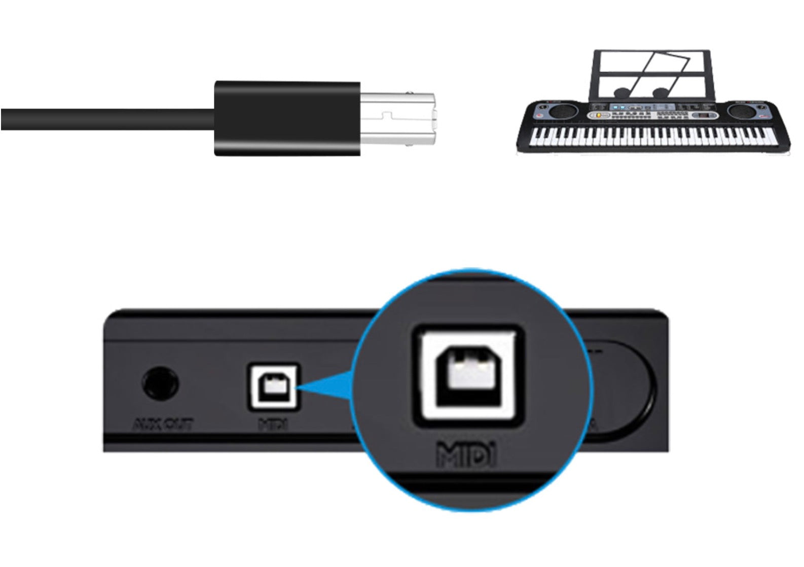 USB C OTG Male to USB 2.0 B Type Female Extension Adapter For Electric Piano / Midi Keyboard