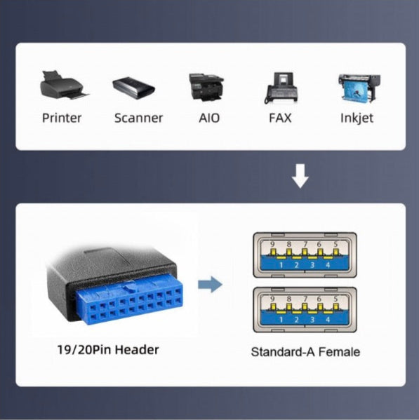 20 Pin Header to Dual USB 3.0 Female Panel Mount Cable Left Angle 30cm