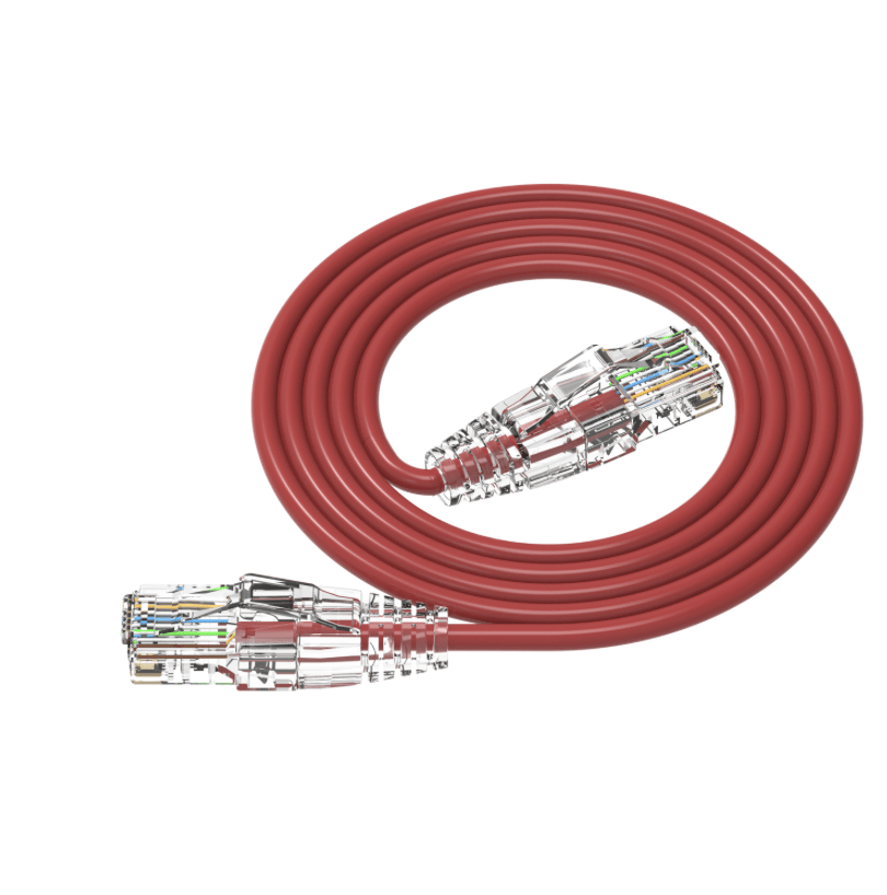 Red Ethernet cable with clear connectors on a white background