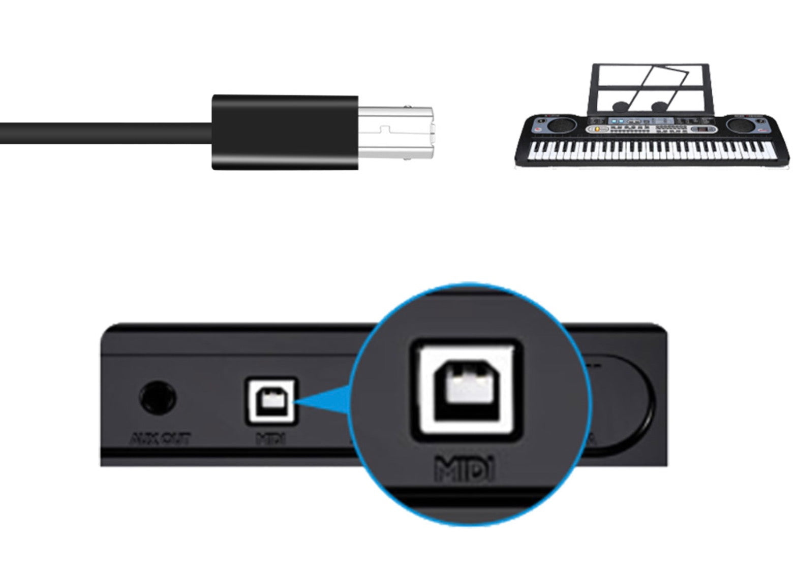 Close up view of USB Type B female connector on Micro USB OTG adapter