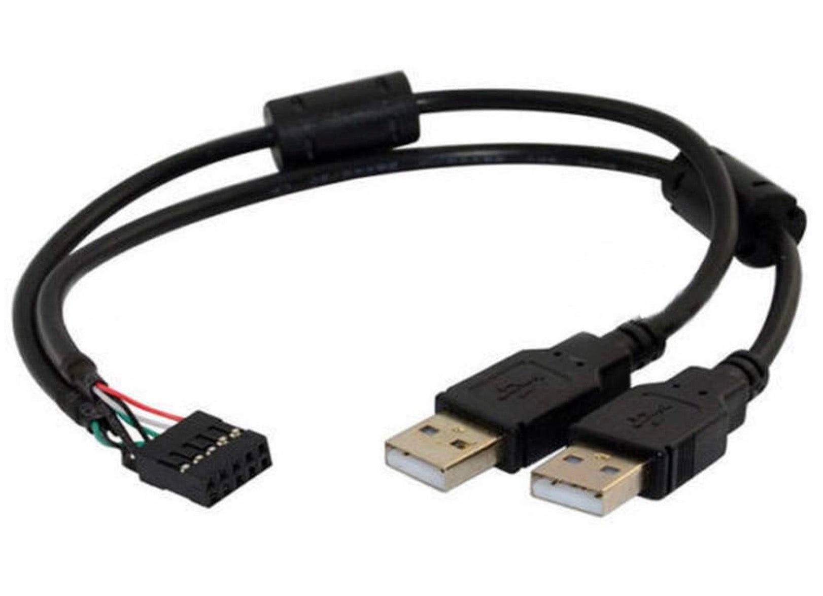 10 pin motherboard USB header to dual USB-A male splitter cable showing complete cable assembly
