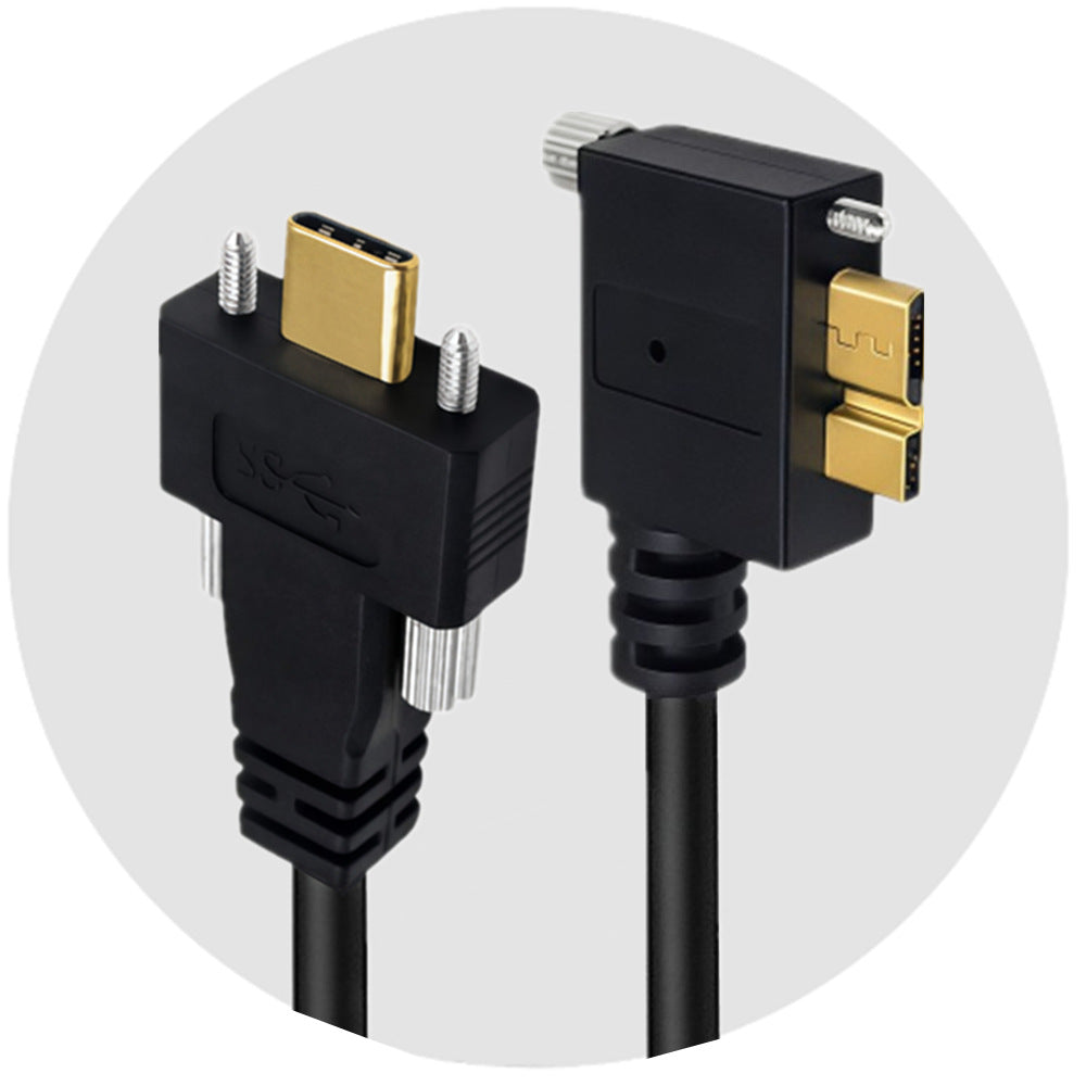Straight USB-C male connector with two locking screws