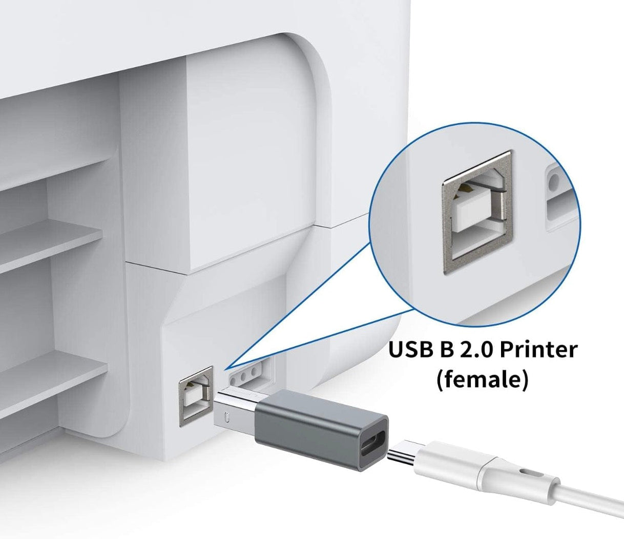 USB C female to USB Type B adapter connected to printer and USB B equipment