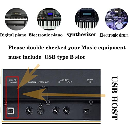 Micro USB to USB Type B cable connected to MIDI keyboard and studio equipment