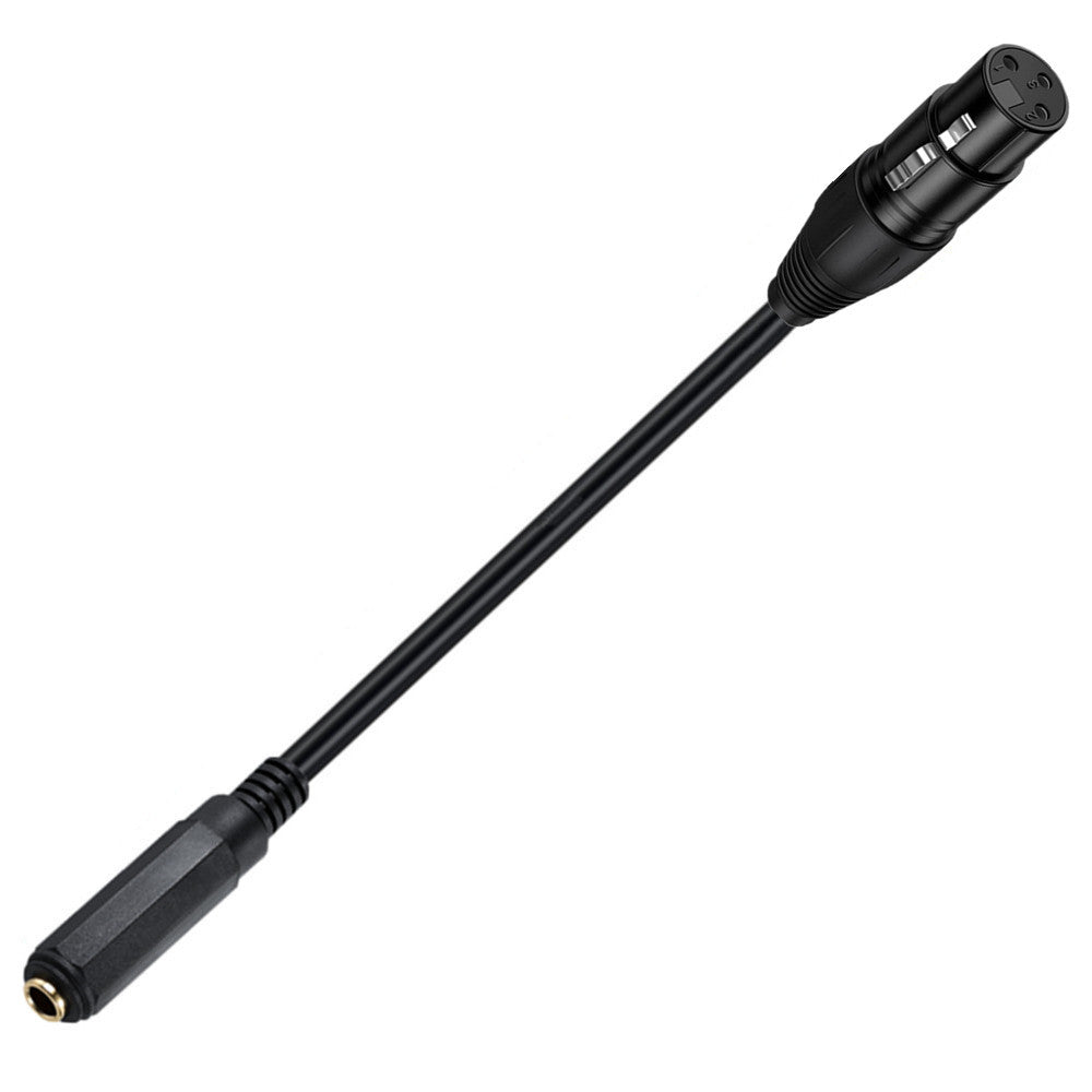 Close-up of the 3-pin XLR female connector
