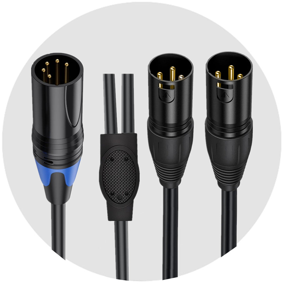 5 pin XLR to dual 3 pin XLR splitter cable showing Y split junction and dual male outputs