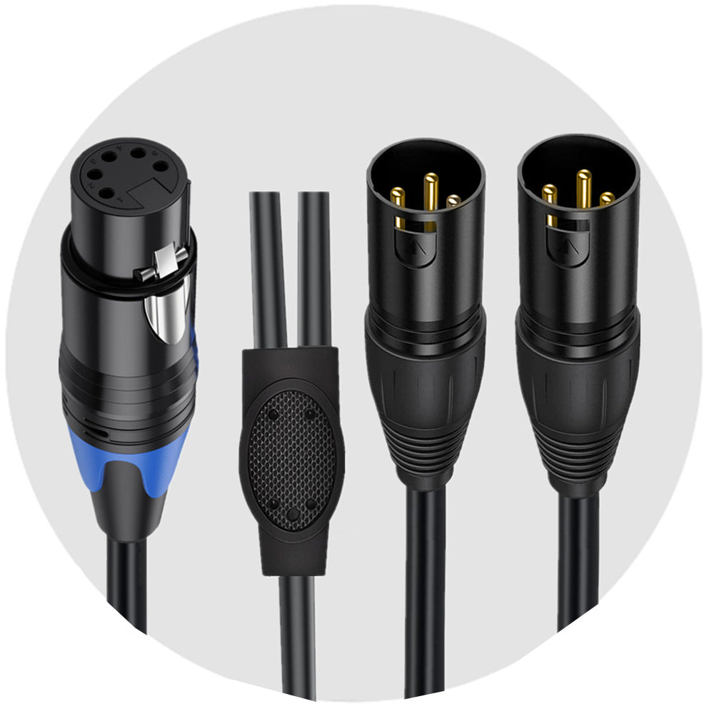 5 pin XLR to dual 3 pin XLR splitter cable showing Y split junction and dual male outputs