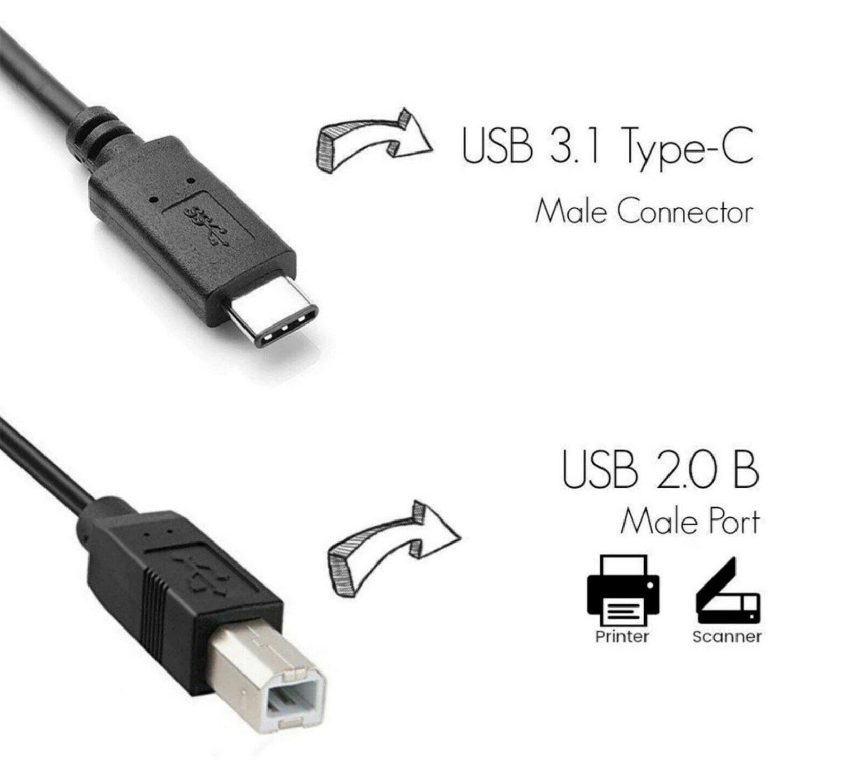 USB 3.1 Type C Male to USB 2.0 B Type Male Printer Cable