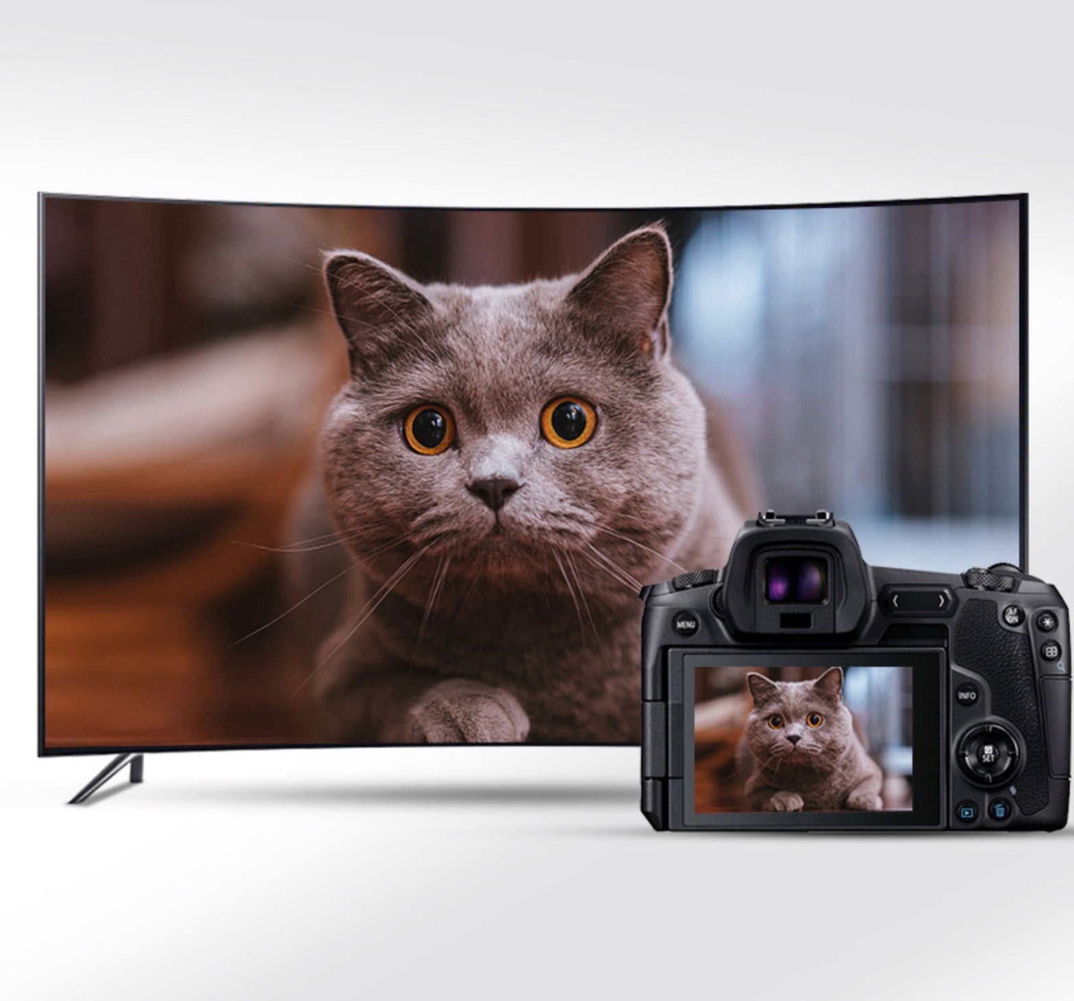 Micro HDMI cable connecting a digital camera to an external display